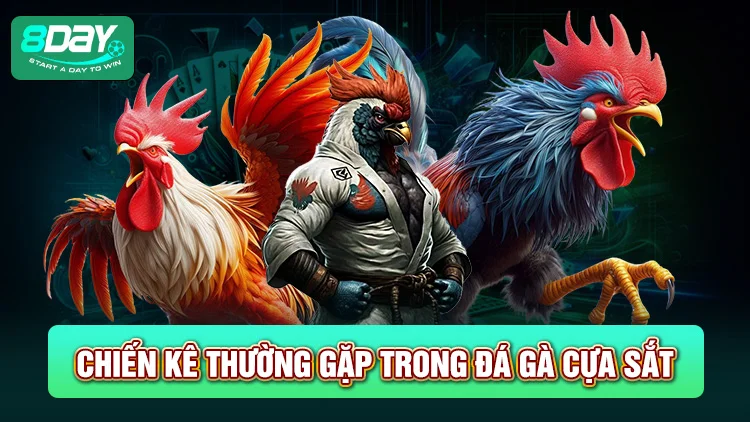 Những chiến kê thường gặp trong đá gà cựa sắt là gì