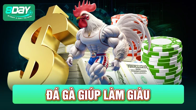 Bộ môn đá gà buộc phơi chơi để làm giàu