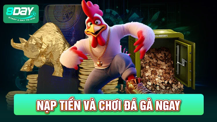 Nạp tiền để vào chơi đá gà ngay